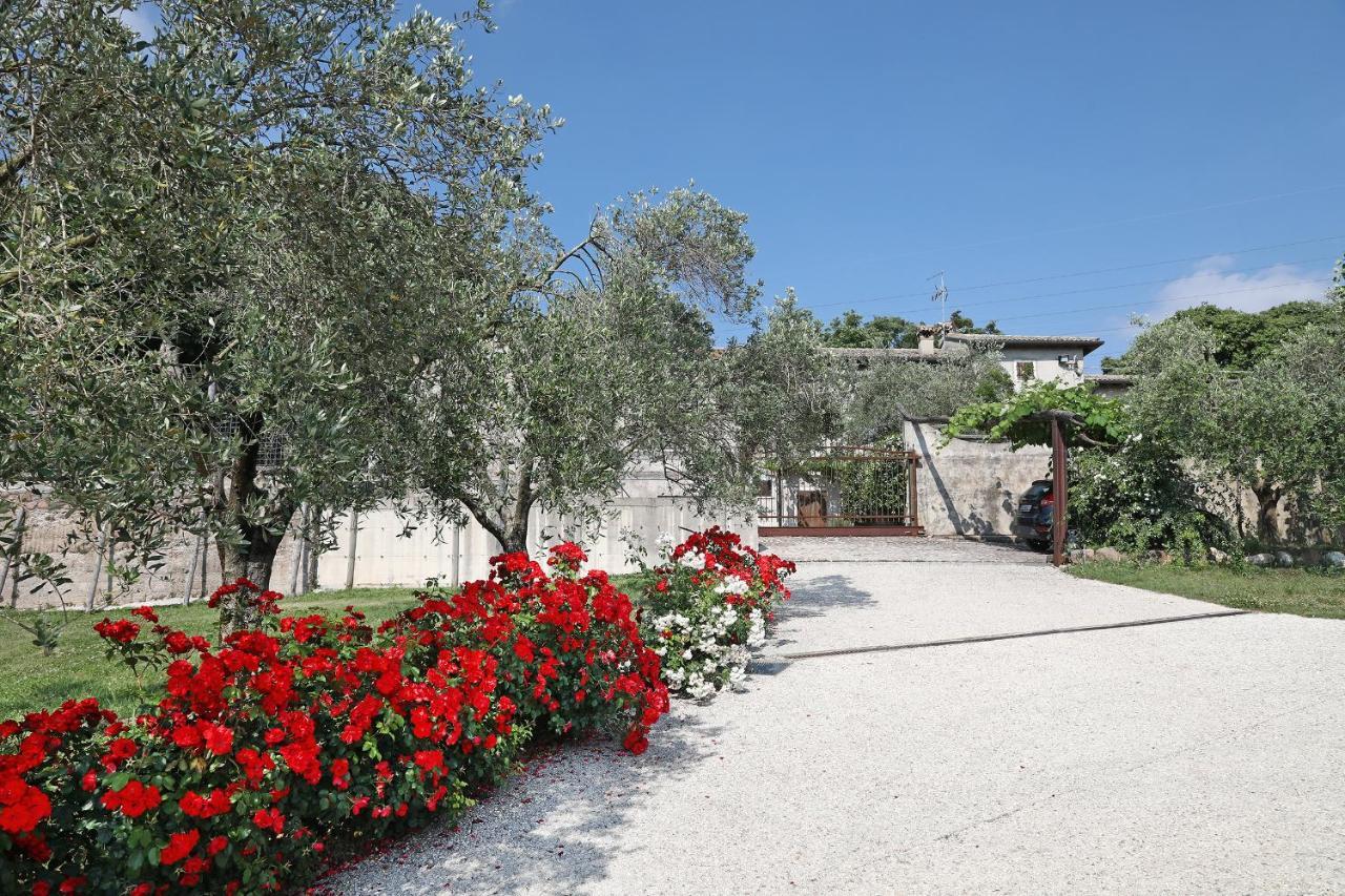 Serene Holiday And Wine Farm Affi Exterior foto
