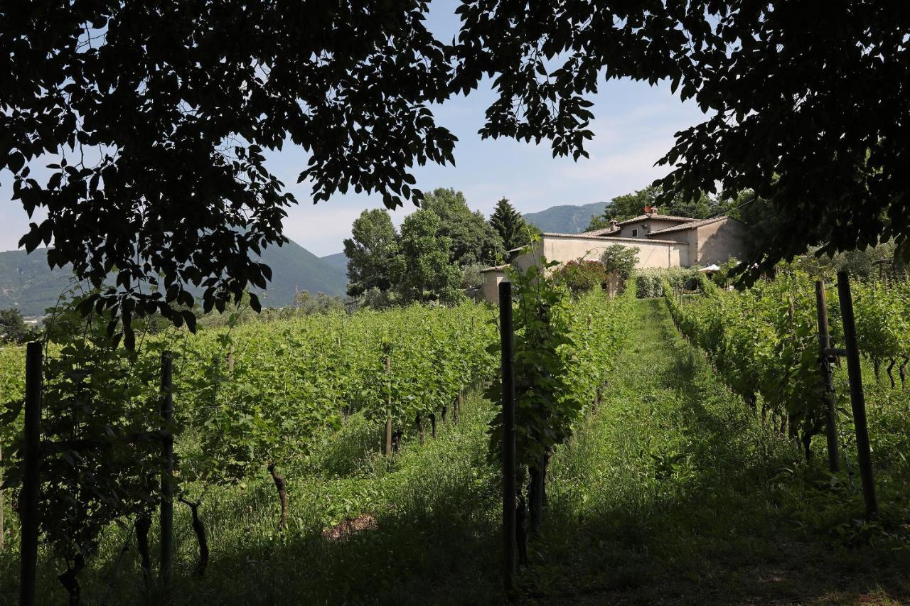 Serene Holiday And Wine Farm Affi Exterior foto